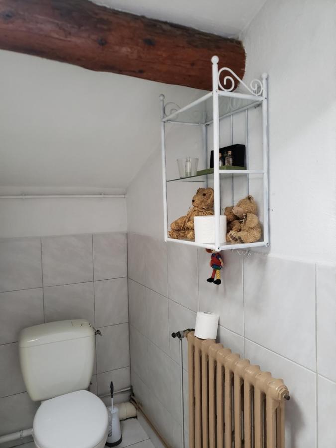 Chambre Dans Une Grande Maison Entre Canal Du Midi Et Centre Ville Béziers Kültér fotó