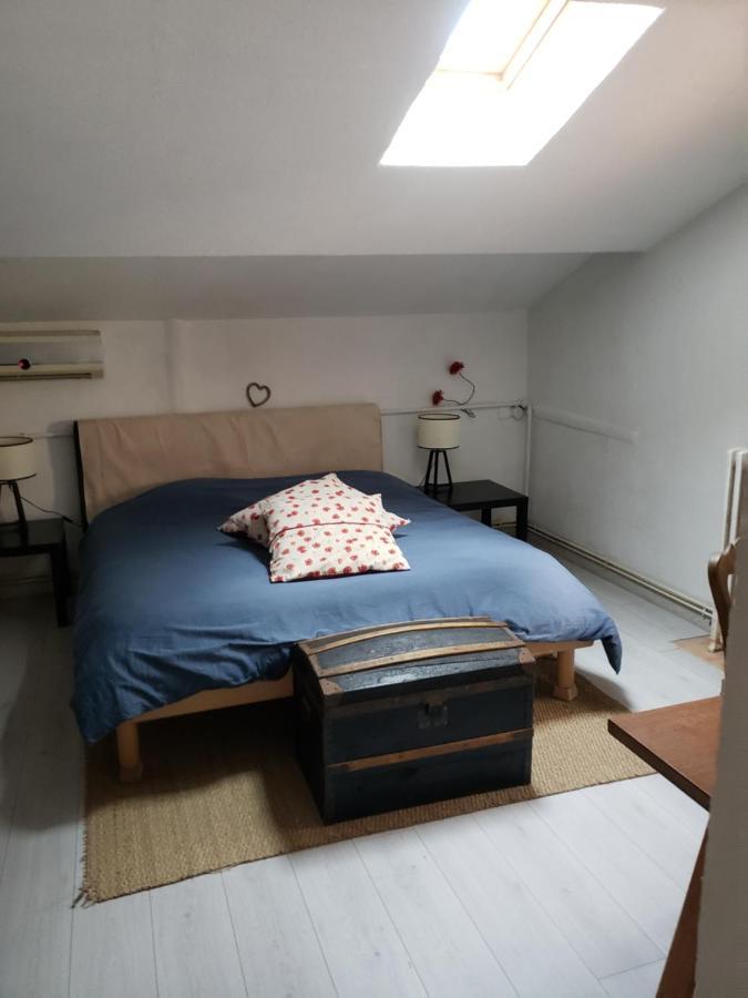 Chambre Dans Une Grande Maison Entre Canal Du Midi Et Centre Ville Béziers Kültér fotó