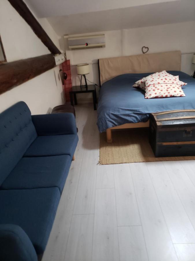 Chambre Dans Une Grande Maison Entre Canal Du Midi Et Centre Ville Béziers Kültér fotó